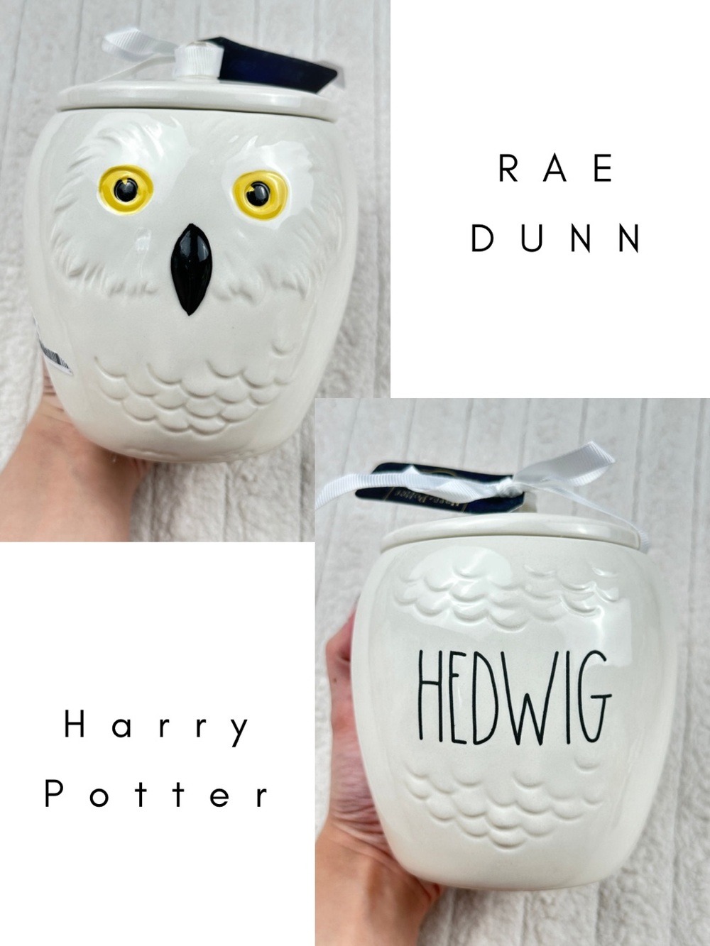 Rae Dunn Harry Potter Hedwig Jar Canister